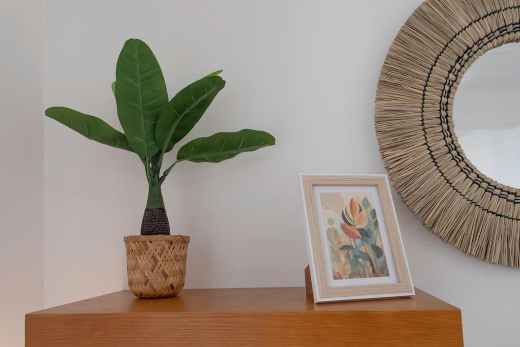 Appartement L55 2p Jean Medecin 10 Min A Pied Vieux