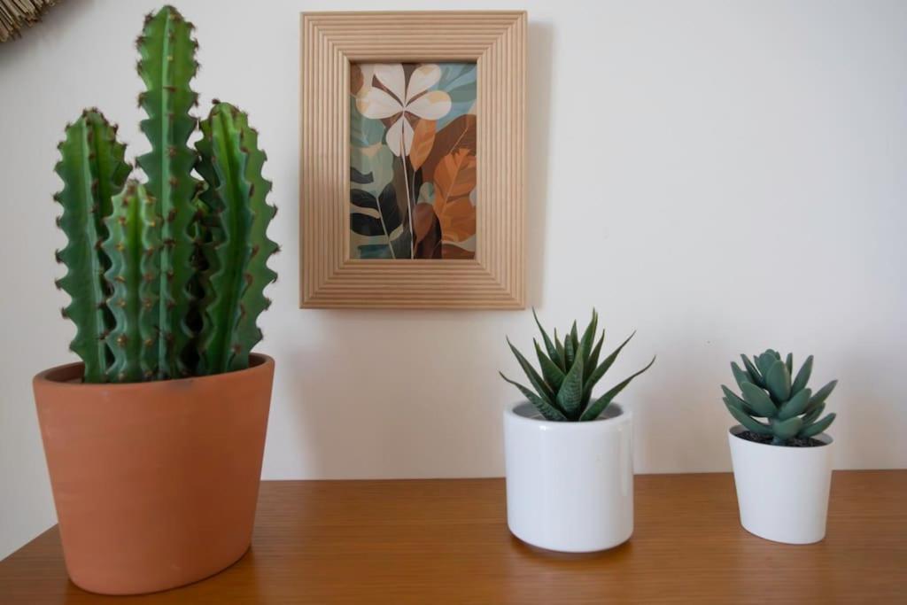L55 2p Jean Medecin 10 Min A Pied Vieux Appartement